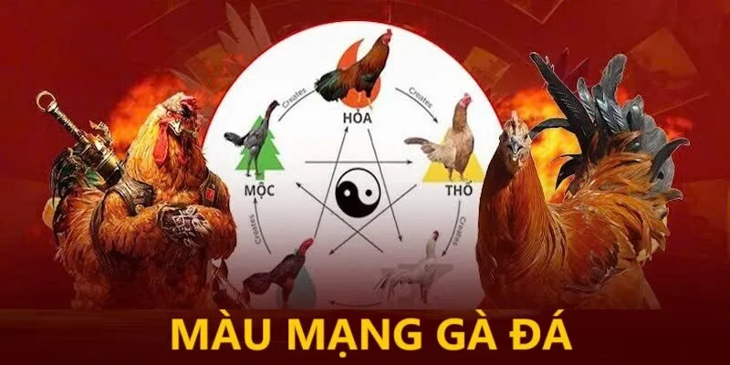 mau-mang-ga-da-thumb-xin88